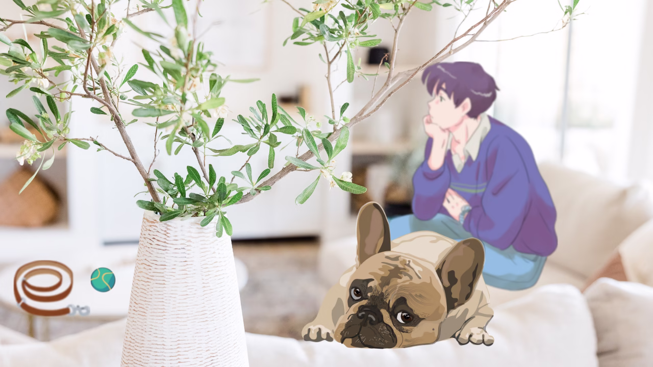 Hope: Feel Unloveable? Think You’re Just a Housebound Burden?