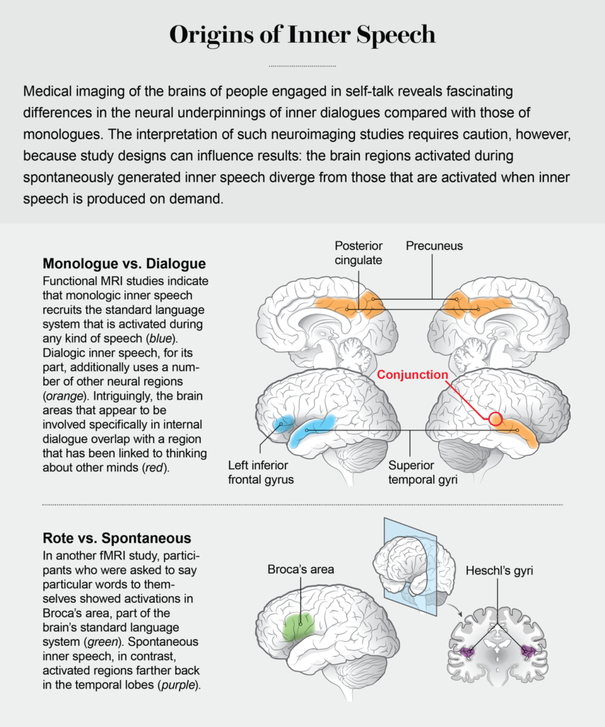Medical imaging of the brain showing fascinating differences between monologue and dialogue